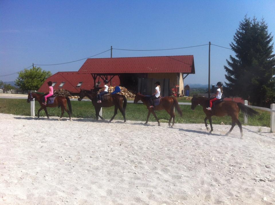 Apartment Pri Adamsovih Catez ob Savi