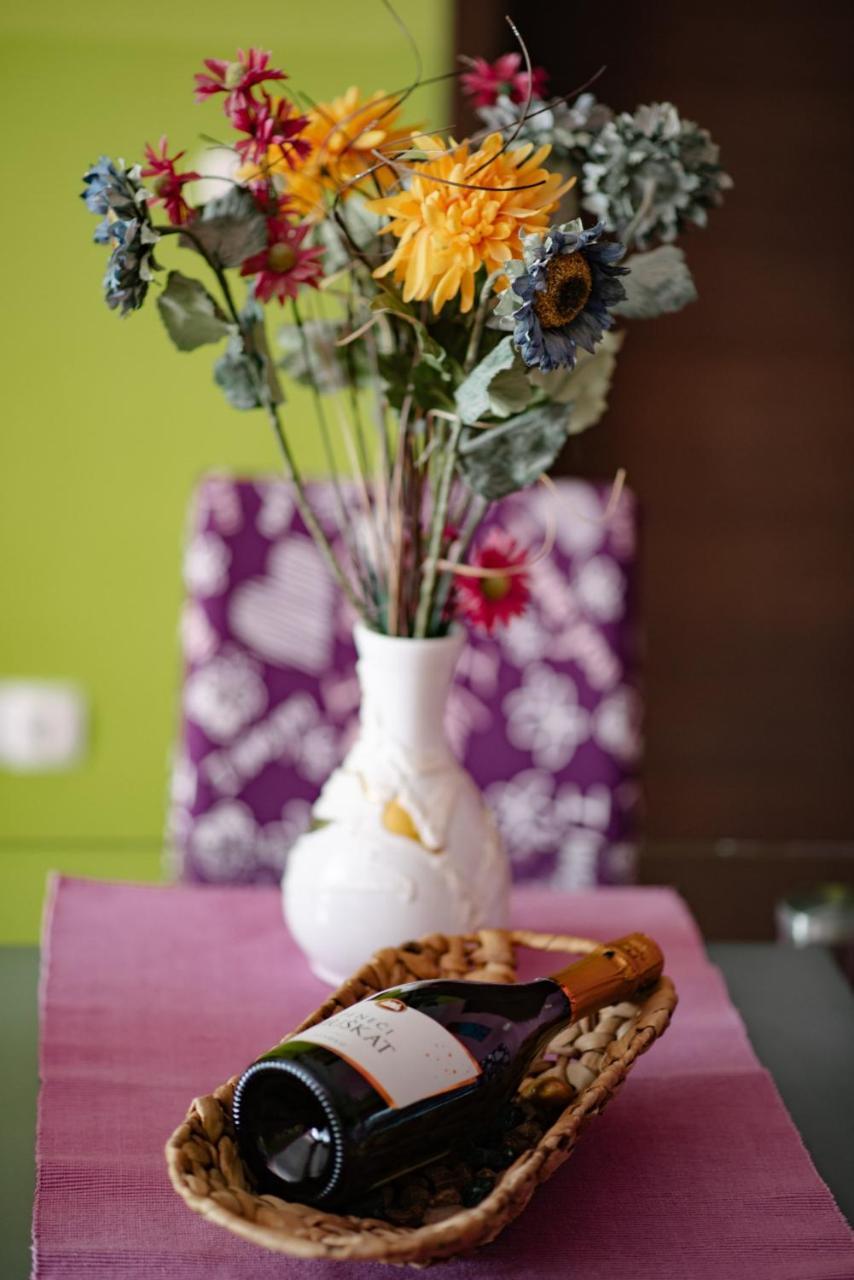 Apartment Pri Adamsovih *